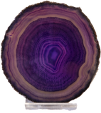 Colour Banded Agate Slice