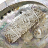 White sage smudge sticks