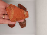 Red Jasper Crystal (Rough) grounding/ motivation/ strength