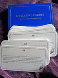 Little owl oracle cards by Shirley Battie