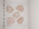 Rose Quartz Crystal (Rough)